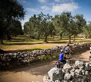 Salento Bike Tours...and food&wine tasting Hotel