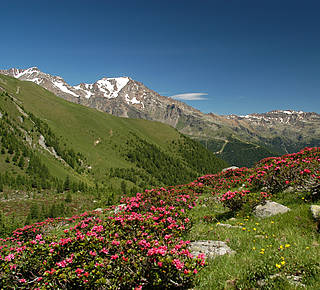 Trekking Hotel