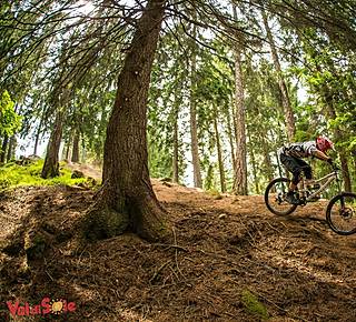 Downhill e Enduro bike Hotel