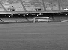 L'erba dello stadio Stadio San Paolo ispir� il mare verde di Marotta