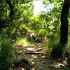 The Philosophical Park