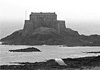 Un nido di vespe sulla costa bretone