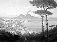 Quando Napoli perse il pino delle cartoline