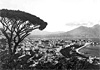 Quando Napoli perse il pino delle cartoline