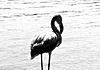Storie e personaggi di Pantelleria