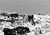 Il sentiero degli aghi di pino