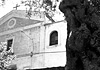 Tra gli ulivi di Vatolla l'amore segreto di Vico per Giulia