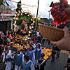 Processione di S. Antonio