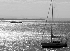 A bordo del Don Pedros nel silenzio del mare puntando su Palmarola