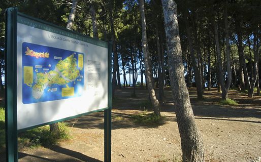 Villa Damecuta