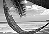 Le pi� belle spiagge del mondo scoperte da un veneto a Camocin
