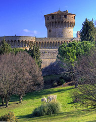 Volterra