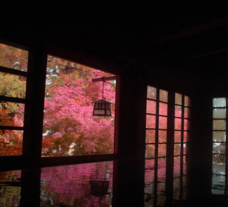 WabiSabi Culture Hotel