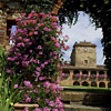 Locanda dell'Amorosa Sinalunga