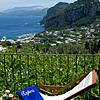Aiano Capri