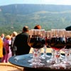 Griffin's Resort Orvieto