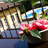 Villa Soleil Colleretto Giacosa