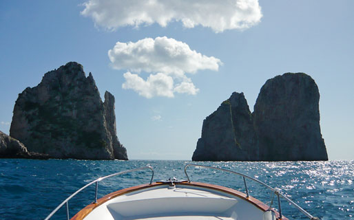 Capri Whales di Wendy Excursions by sea Capri