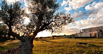 Masseria Le Fabriche Maruggio Nardò hotels