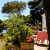 Parco Augusto Capri