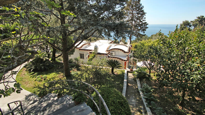 Casa Augusto Bed & Breakfast Capri