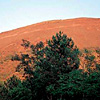 The Vesuvius National Park Ottaviano