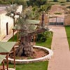 Tenuta Quintino Porto Cesareo