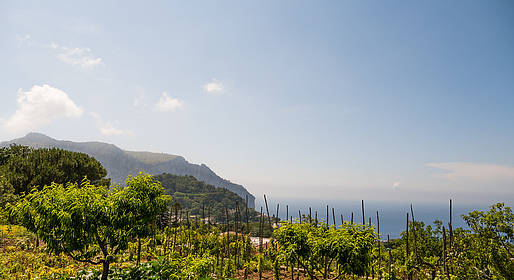 Caprionline - Piedigrotta Tiberiana